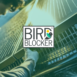Shop Bird Blocker Renewable Products at Green2Go